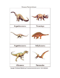 Dinosaur Lesson Plans